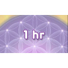 image_63d9a160f122d_shop-01-02-hour-cr-355x200